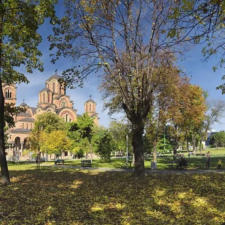 Little Oasis Tash * Belgrade